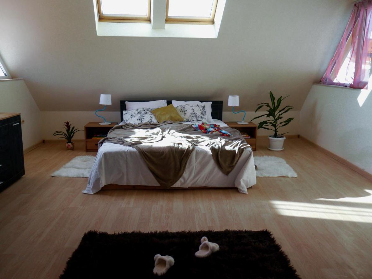 Altavista Mountain Apartment 萨莫科夫 外观 照片