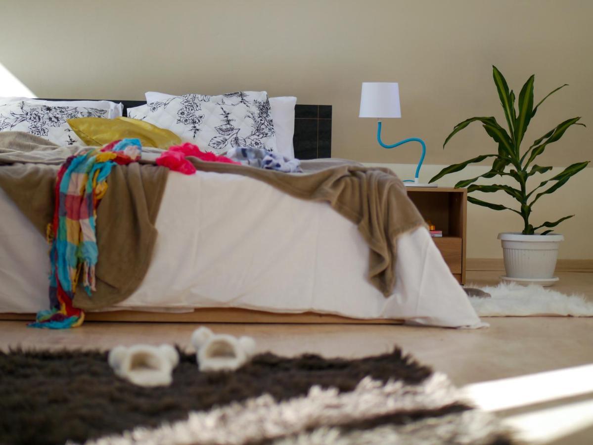 Altavista Mountain Apartment 萨莫科夫 外观 照片