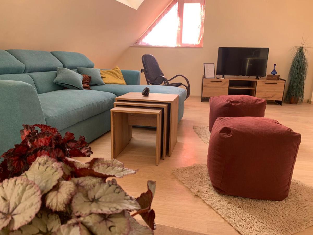 Altavista Mountain Apartment 萨莫科夫 外观 照片
