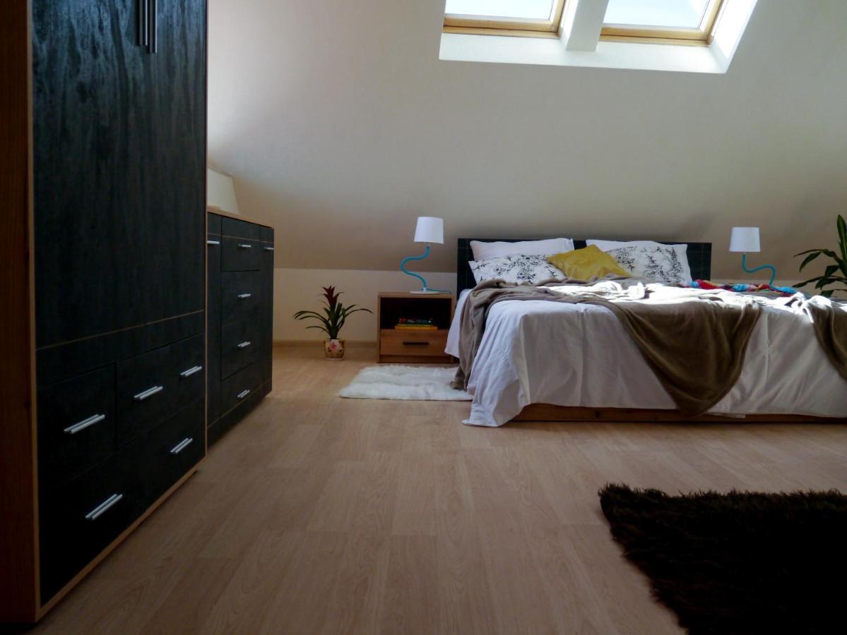 Altavista Mountain Apartment 萨莫科夫 外观 照片