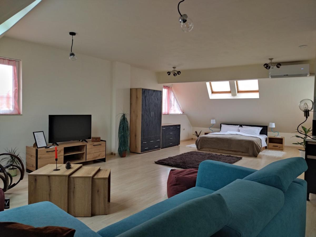Altavista Mountain Apartment 萨莫科夫 外观 照片