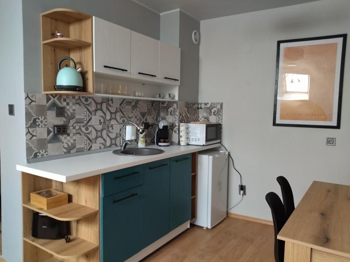 Altavista Mountain Apartment 萨莫科夫 外观 照片