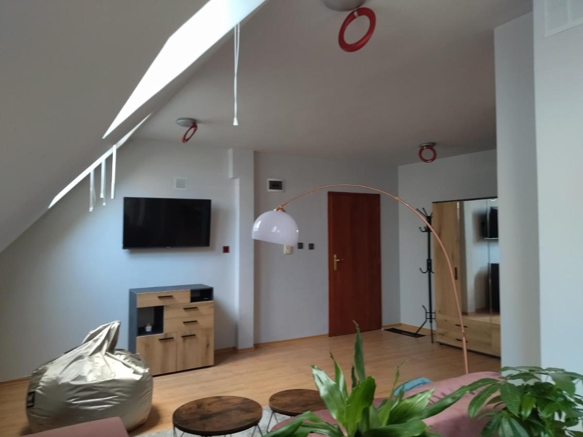 Altavista Mountain Apartment 萨莫科夫 外观 照片
