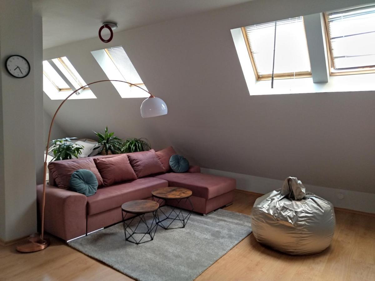 Altavista Mountain Apartment 萨莫科夫 外观 照片